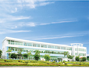 Company Profile