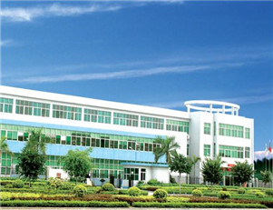 公司治理