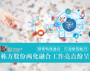 探索有效途径，打造新型能力——栋方股份两化融合工作亮点纷呈