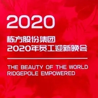 新栋能•美世界丨栋方股份集团2020年千人家宴暨员工迎新晚会盛大举行